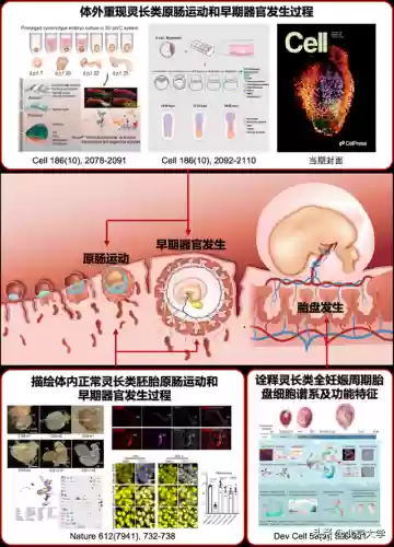 2020十大科学(最新的科学技术有哪些)插图8