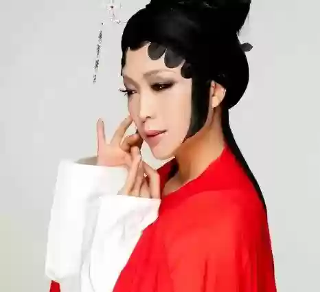 世界十大京调歌手(京胡排名前十名)插图9