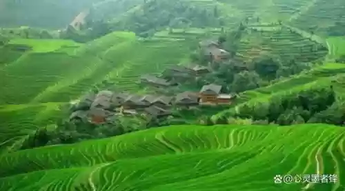 中国十大最美梯田 排名(中国十大避暑胜地)
