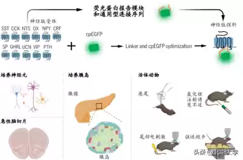 2020十大科学(最新的科学技术有哪些)插图1