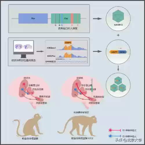2020十大科学(最新的科学技术有哪些)插图6
