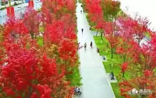 街道十大名片图片(智能名片)插图5