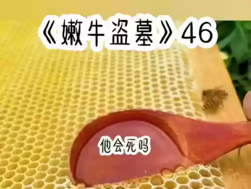 问道手游地宫法火搭配阵容(问道手游火系怎么玩最强)插图1