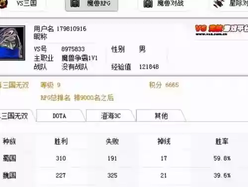 英雄战棋暗金版阵容搭配(英雄战棋满v暗金版攻略)插图6