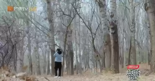 阴阳师挖土修修饭阵容(茨林挖土19s阵容)插图3