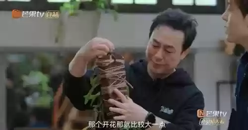 阴阳师挖土修修饭阵容(茨林挖土19s阵容)