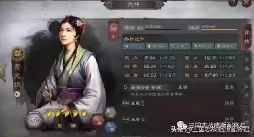 三国志里难抽到的阵容有(三国志阵容搭配攻略)插图2