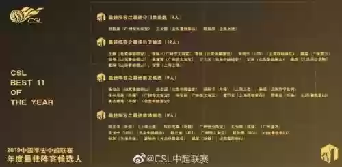 2019鲁能最佳阵容是谁(中超风云2 上港最佳阵容)