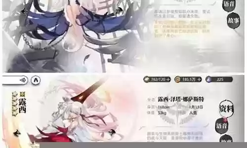 新手圣光怎么搭配阵容插图