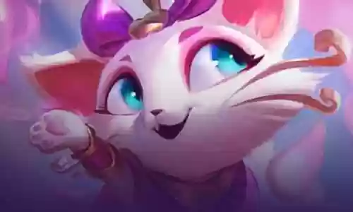 不同阵容猫咪搭配图插图