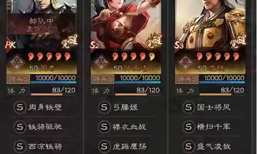 王师开荒阵容搭配图插图