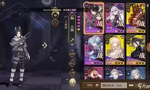 山海镜花毒阵容搭配