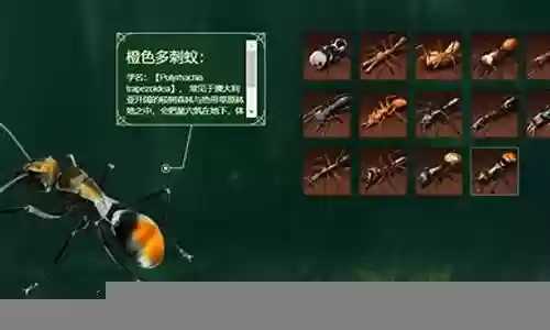 杰克跳蚁阵容搭配插图