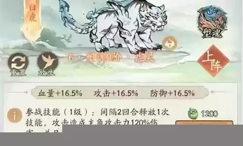白虎反击阵容搭配