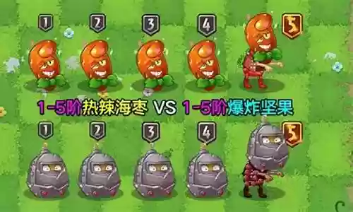 热辣海枣搭配阵容