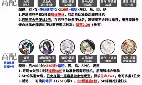 蛇岳搭配什么阵容