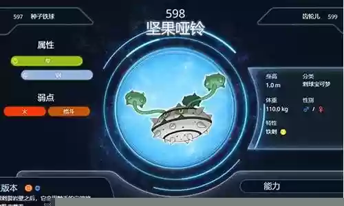 坚果哑铃搭配阵容