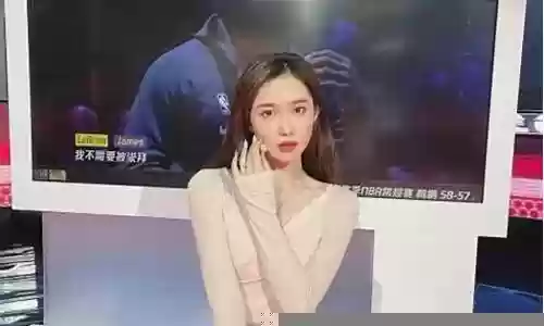 美娜最佳防守阵容搭配插图