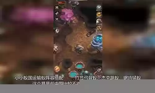 觉醒宠物推荐阵容搭配攻略