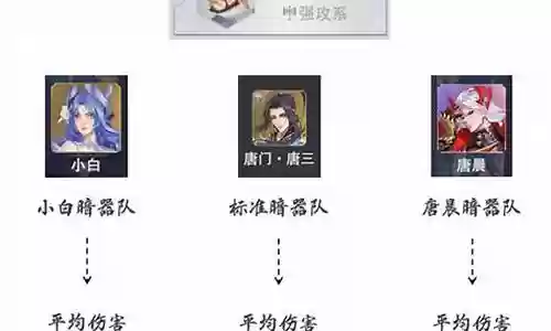 小白暗器暴雨队阵容搭配插图