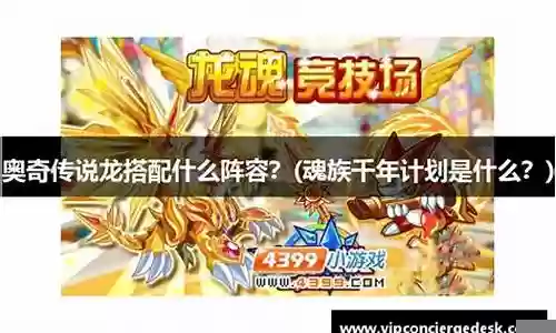 忍影大龙搭配什么阵容插图