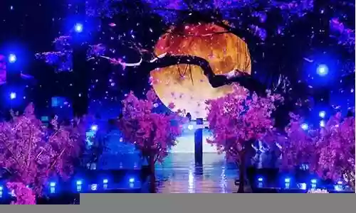 西昌中秋晚会 阵容搭配
