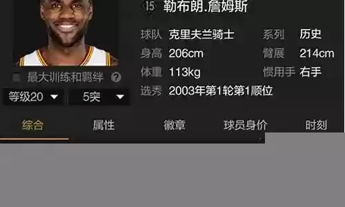 五突詹姆斯阵容搭配图插图