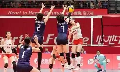 杭州女排总决赛阵容