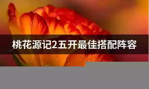雪山最强五开阵容搭配图插图
