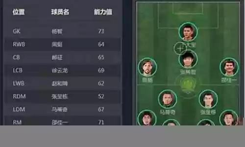 北京国安11年阵容插图