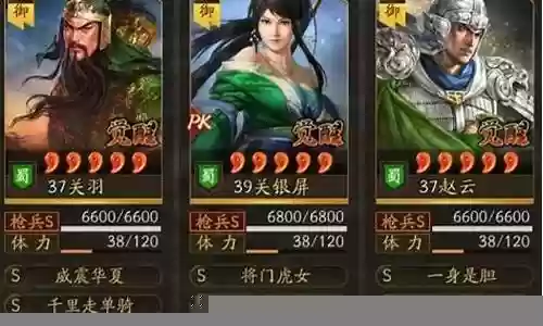 洞察枪阵容搭配最新版插图