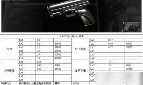生化危机5武器改造选择插图