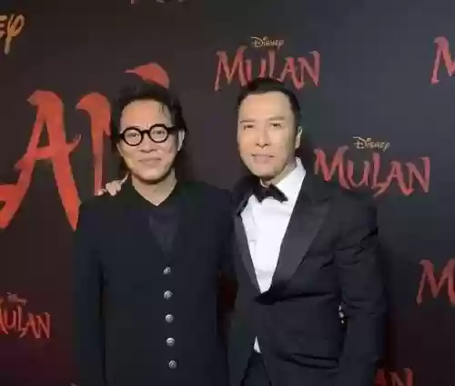 甄子丹李连杰阵容插图