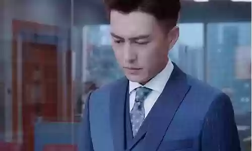 靳东新剧阵容搭配图片大全插图