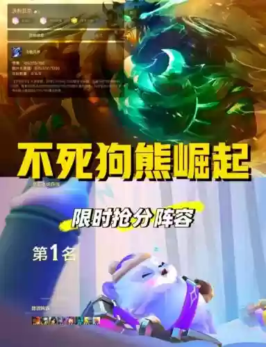 阵容推荐狗熊插图