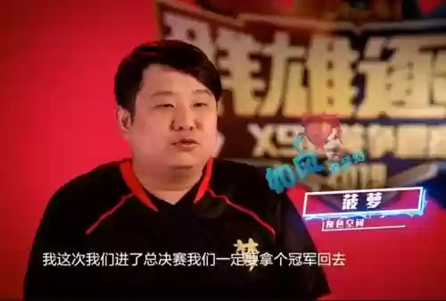 梦幻西游菠萝视频插图1