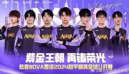 nv老阵容插图