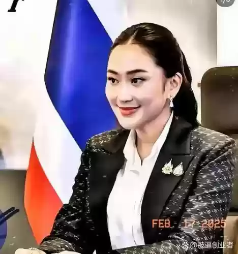 新阵容保镖插图1