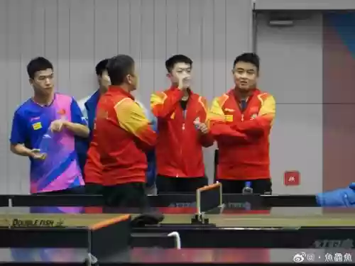 3133阵容教练插图1
