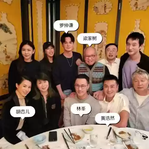 林峯阵容插图1