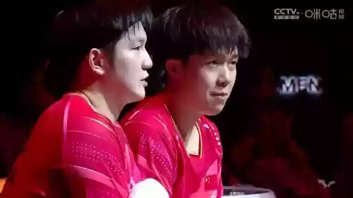 双林阵容