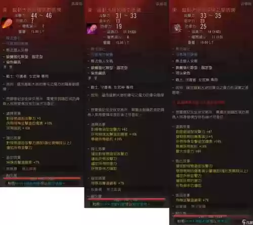 黑色沙漠驯兽师过度装备插图