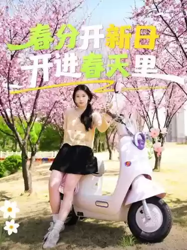 春分女性阵容插图