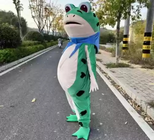 青蛙外出装备插图