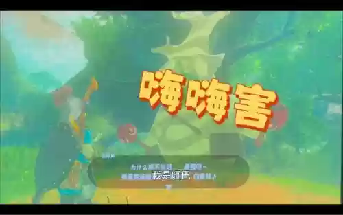 塞尔达传说武器袋增加插图1