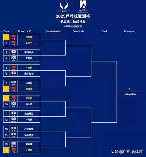 06亚锦赛阵容插图