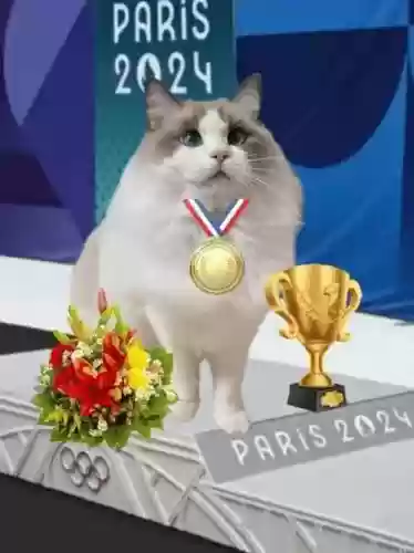 夺冠猫咪阵容插图1