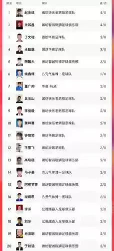 超级网阵容插图