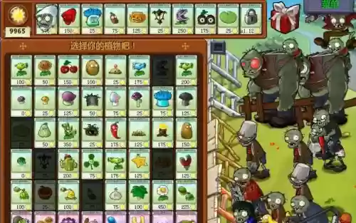 贝塔最新阵容_1插图