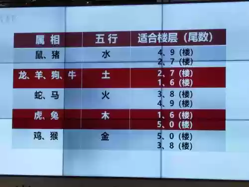 属翁阵容插图